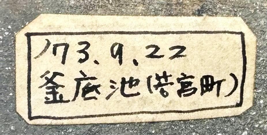 須恵器 釜底池(福岡県若宮町) 1973年9月22日発掘品 時代物WWTT177