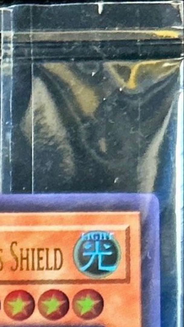 遊戯王OCG デュエルモンスターズ Dragon of Illumination,Sanctuary'sShield