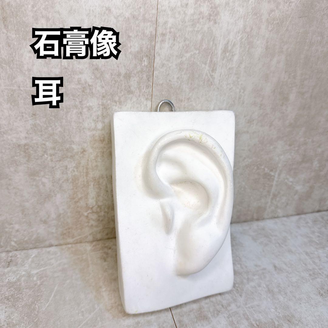 石膏像 耳 デッサン用 美術教材 美品 立体資料 オブジェ インテリア 置物