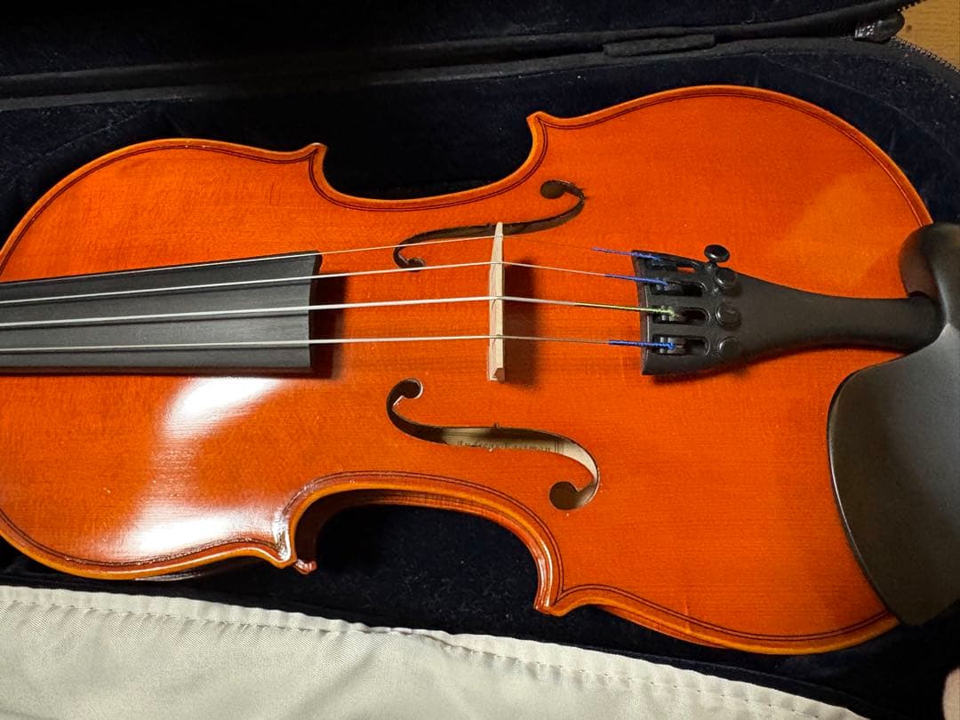 分数バイオリン 2022年製 Eastman VL80 1/2バイオリン本体