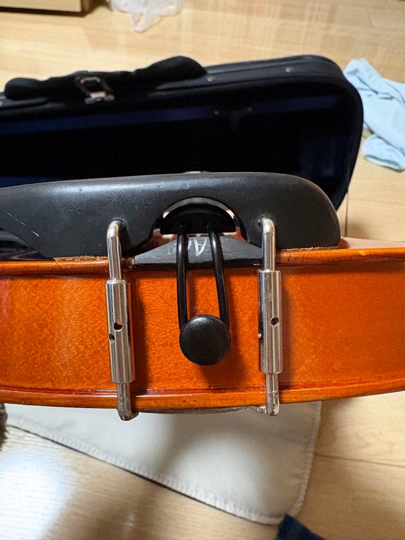 分数バイオリン 2022年製 Eastman VL80 1/2バイオリン本体
