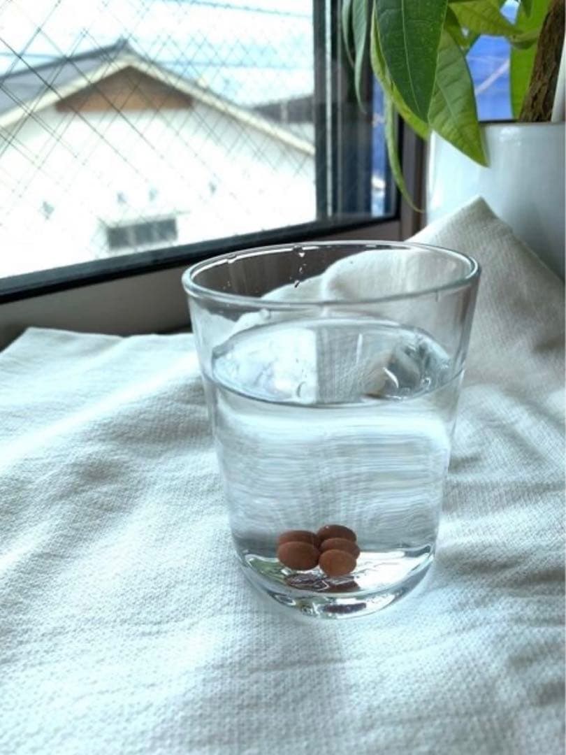 テラヘルツ加工セラミックボール100g 浄水 消臭 塩素除去