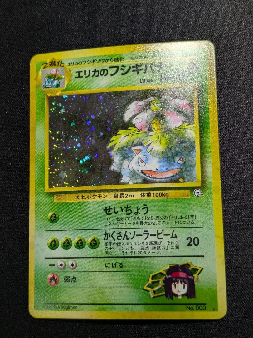 エリカ　旧裏　タマムシシティジム　関連カードまとめ売り