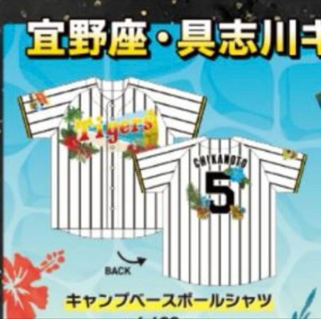 阪神タイガース　2026キャンプ限定