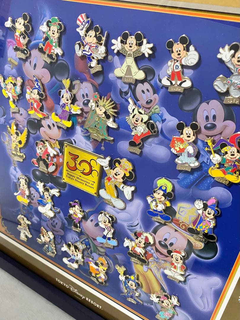 【美品】ディズニー 30周年 スペシャルコレクション ピンバッジ 30種類