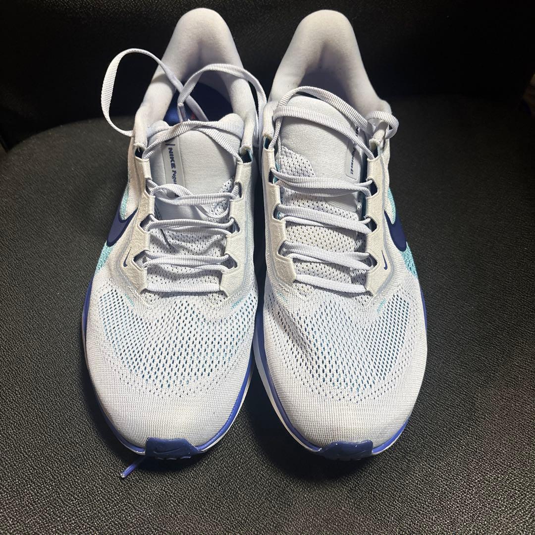 NIKE ペガサス41 27.0 センチ