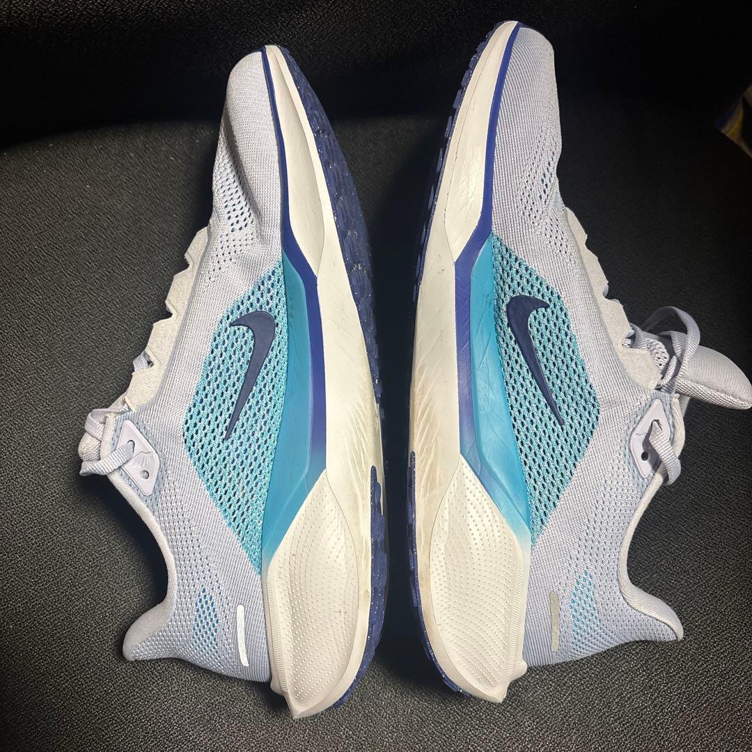 NIKE ペガサス41 27.0 センチ