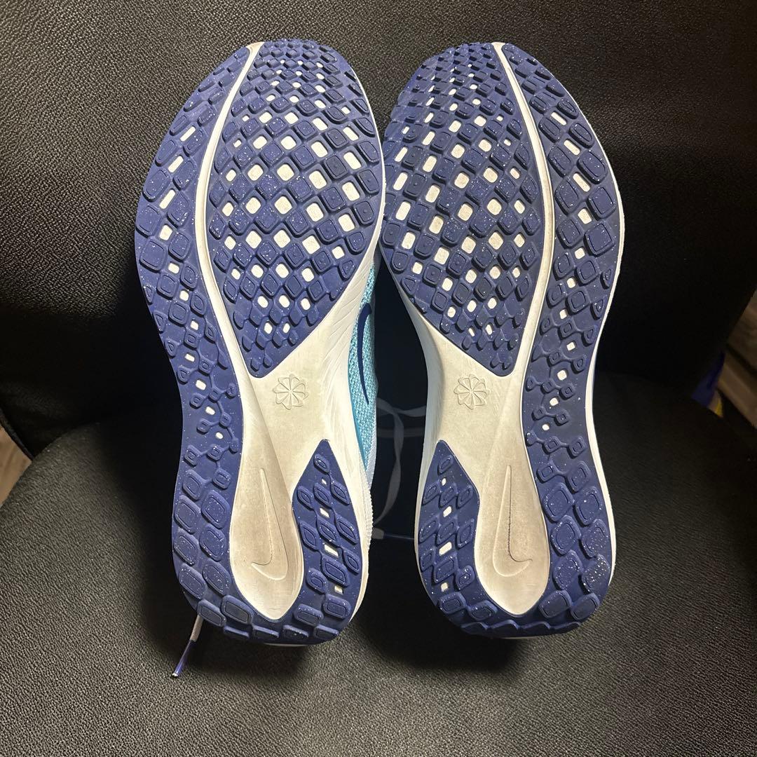 NIKE ペガサス41 27.0 センチ