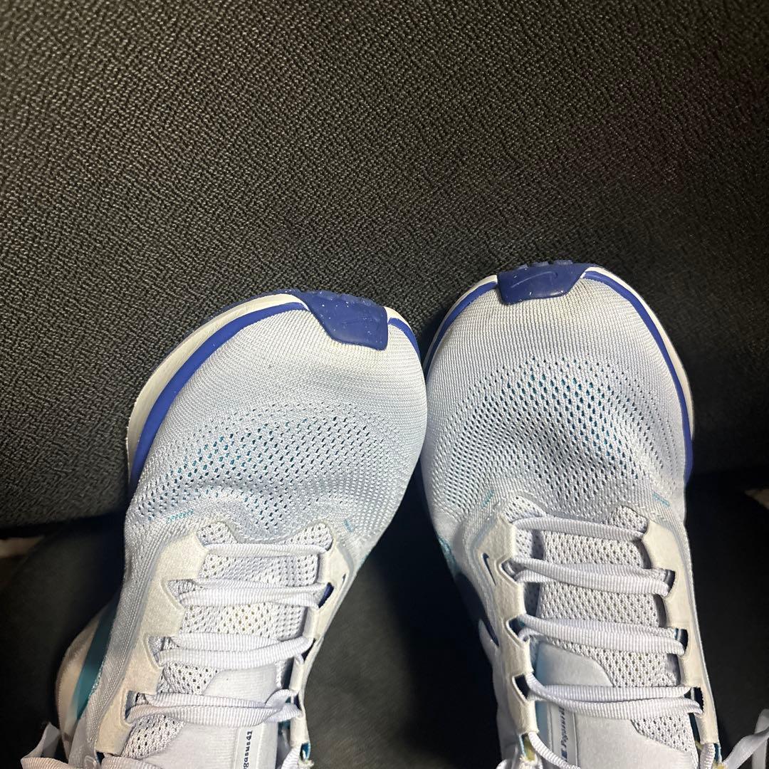NIKE ペガサス41 27.0 センチ