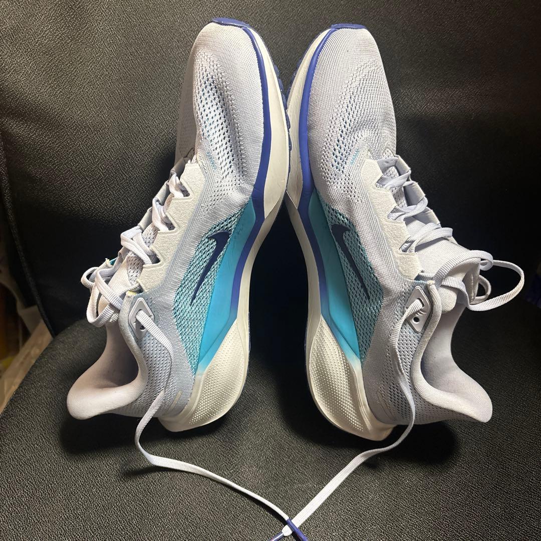 NIKE ペガサス41 27.0 センチ