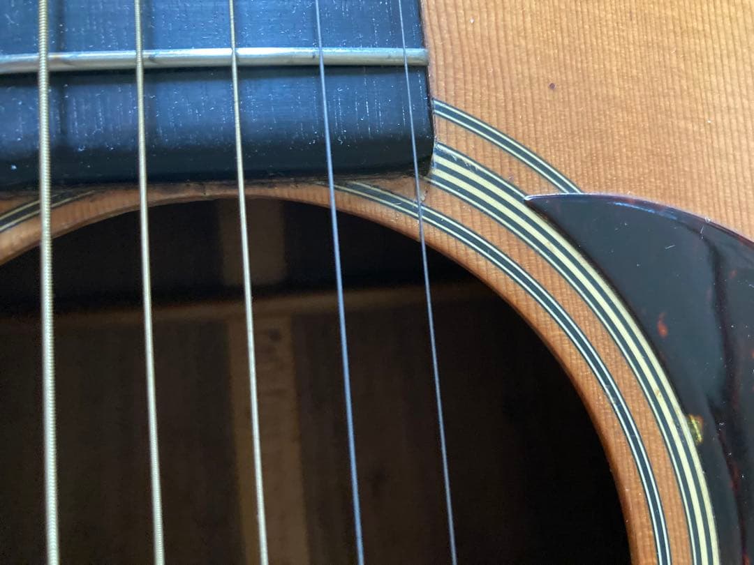 ギター cat's eyes CE800