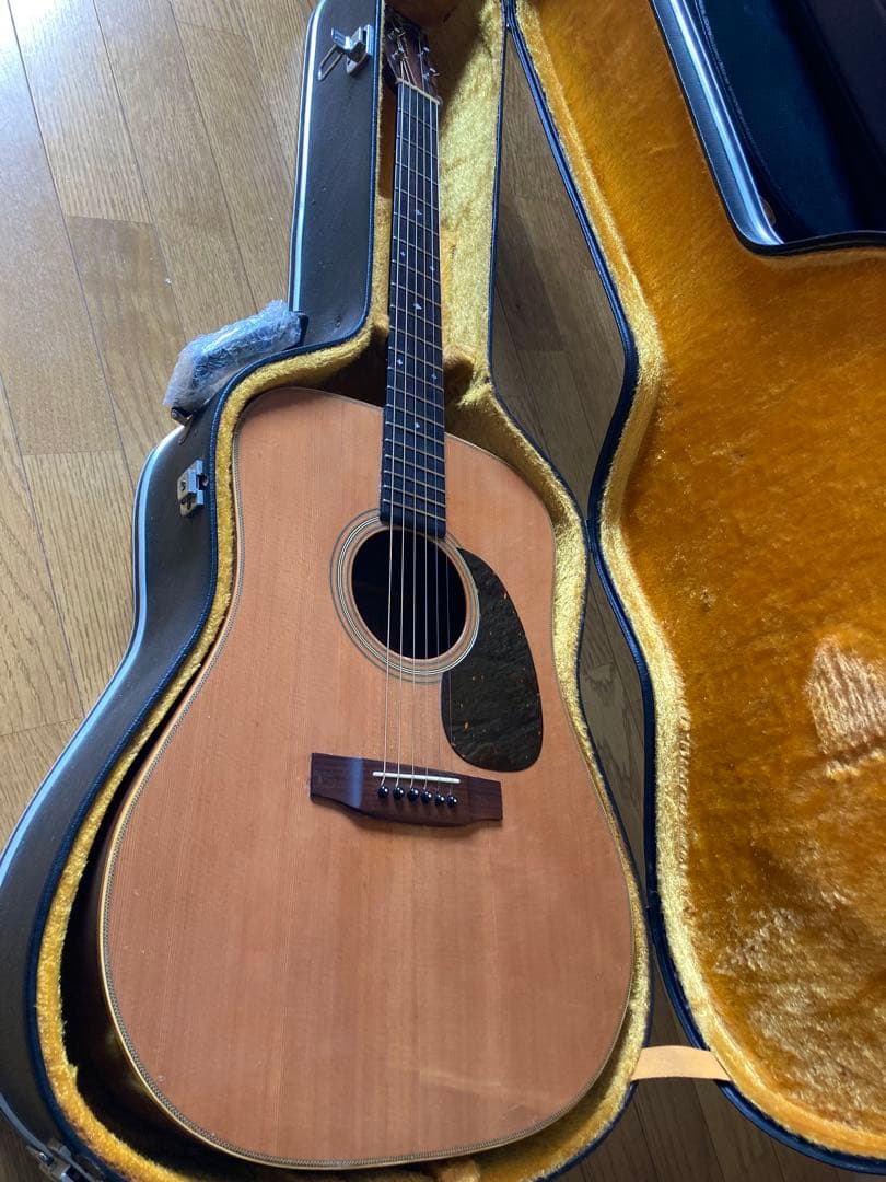 ギター cat's eyes CE800