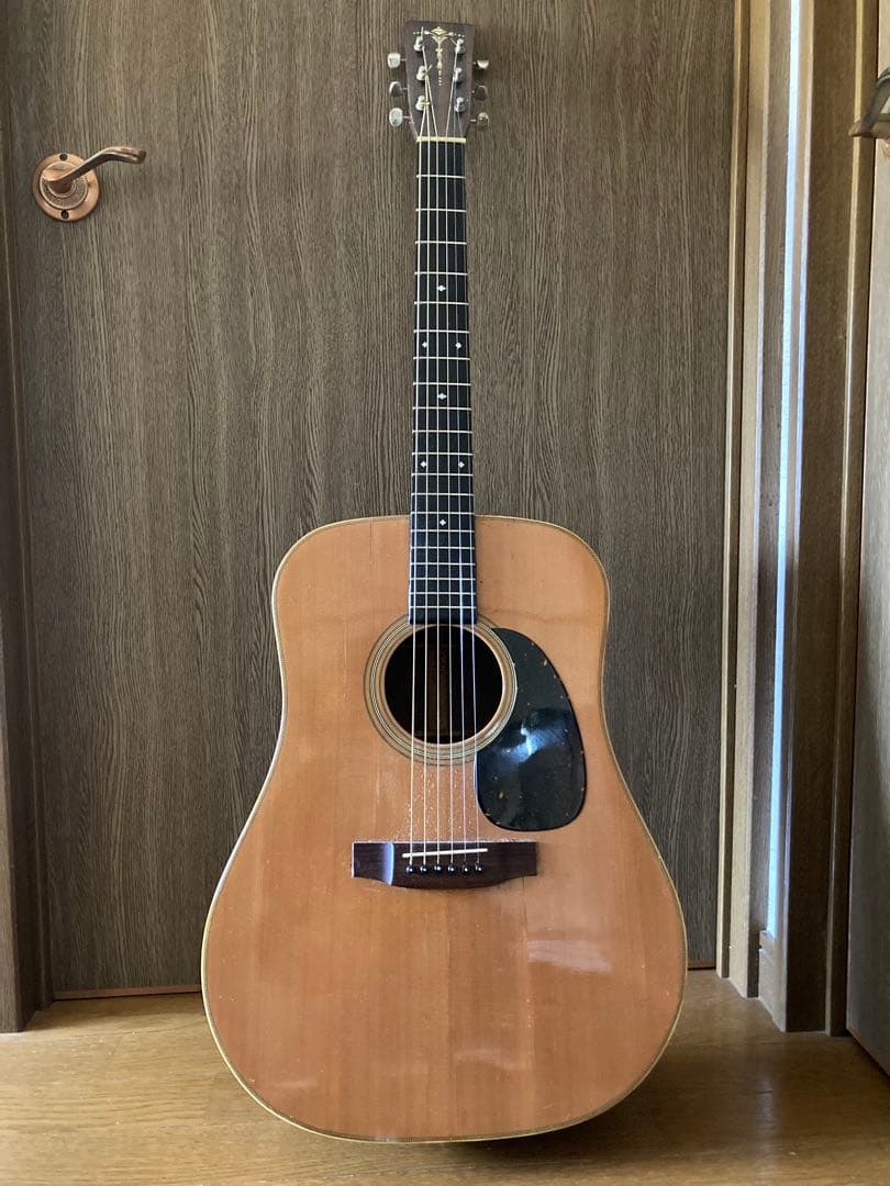 ギター cat's eyes CE800