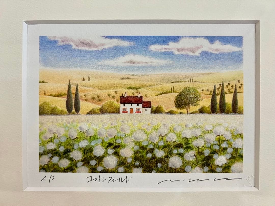 渡辺美香子 コットンフィールド エディション AP 色鉛筆画 版画