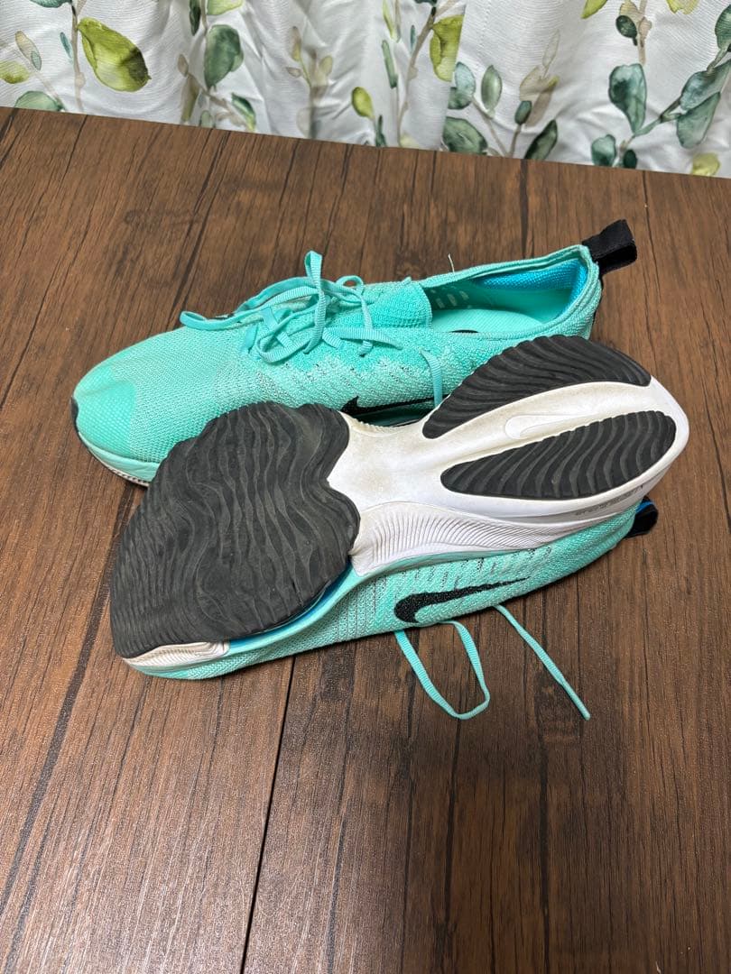 NIKE エアズームテンポネクスト％　26cm