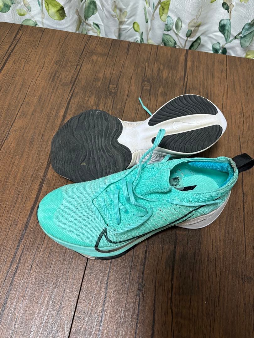 NIKE エアズームテンポネクスト％　26cm