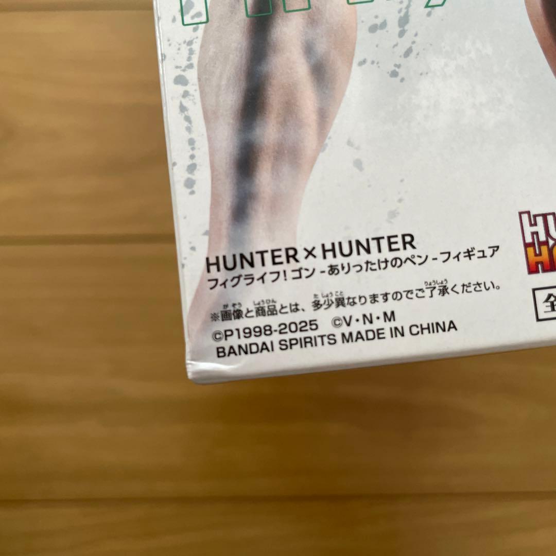 HUNTER×HUNTER ハンターハンター　フィギュア　ゴン　フィグライフ