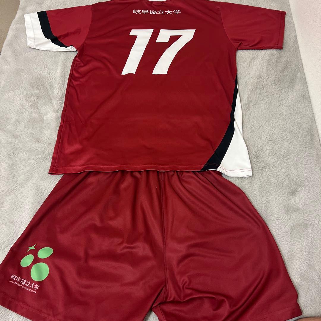 岐阜協立大学 バレーボール ユニフォームセット 17