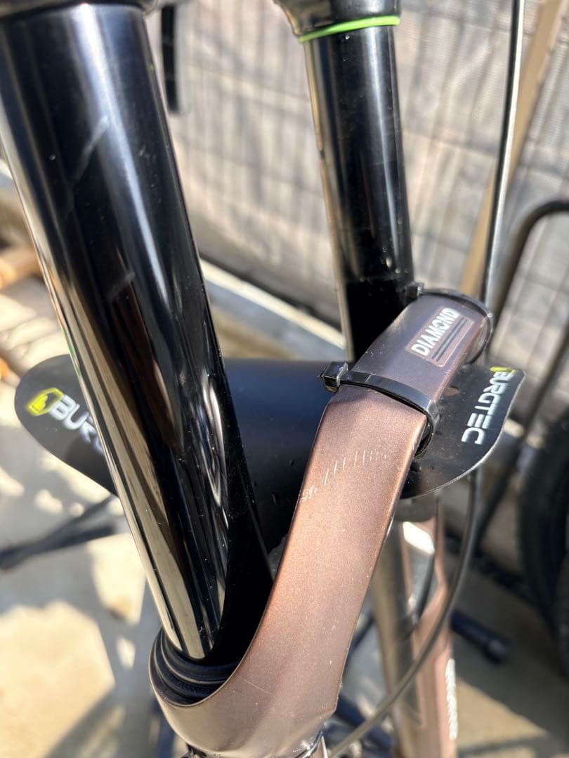 今日だけ値下げします。DVO DIAMOND 29インチBOOST 110