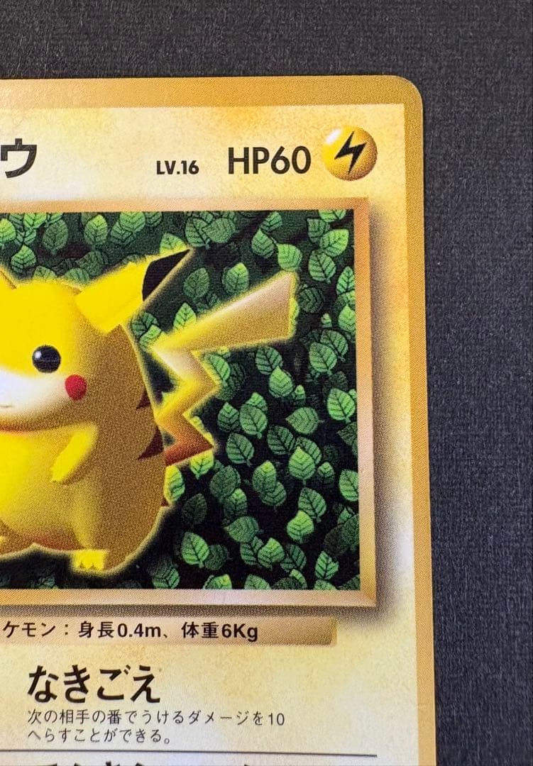 ピカチュウ 旧裏 コロコロコ プロモ 光沢有りKen Sugimori