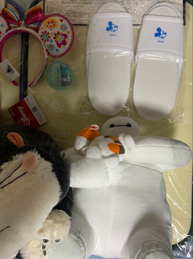 海外ディズニー　ベイマックス　ミラベル　ラプンツェル　ロルカナ　アナ雪