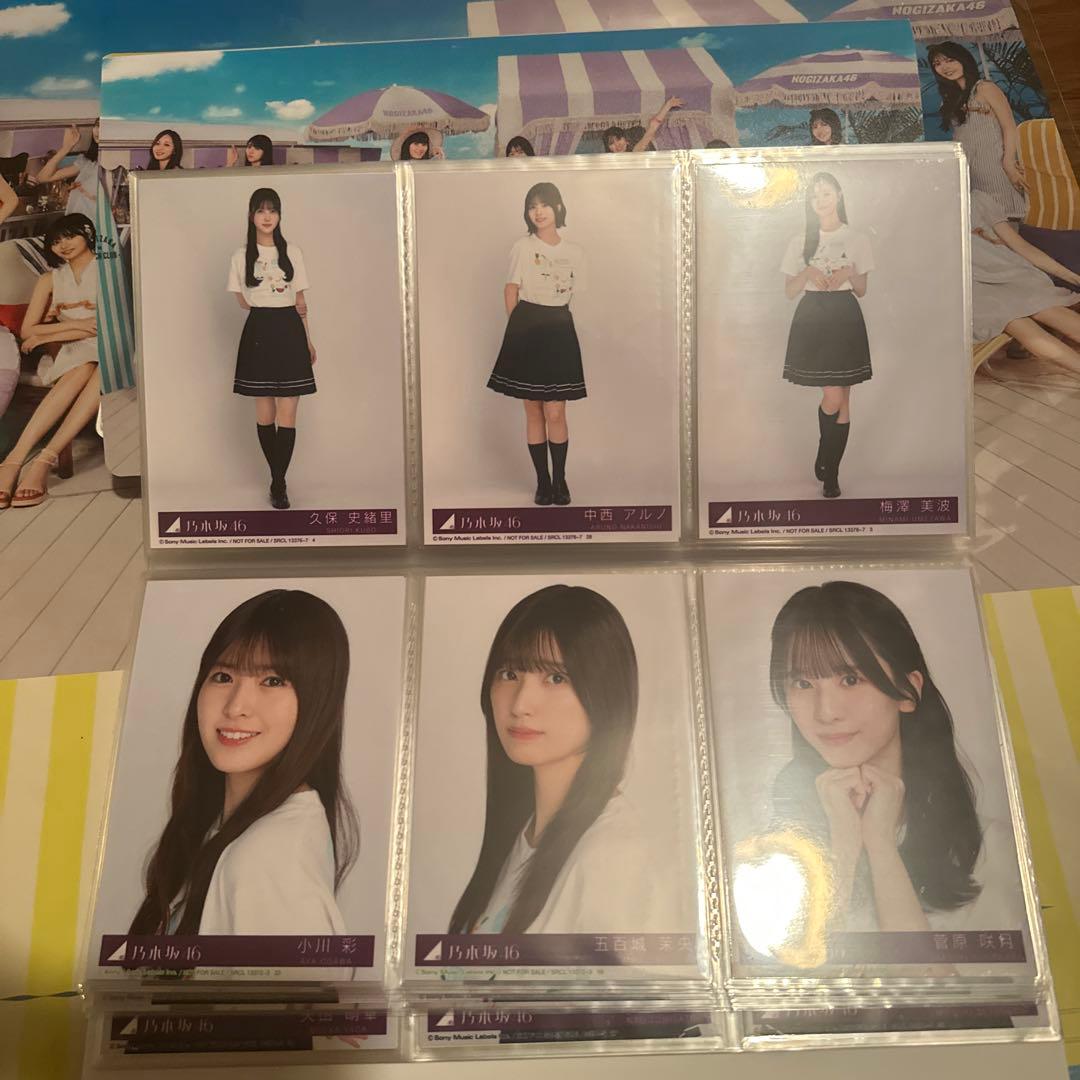 乃木坂46 Same numbers 封入生写真コンプ