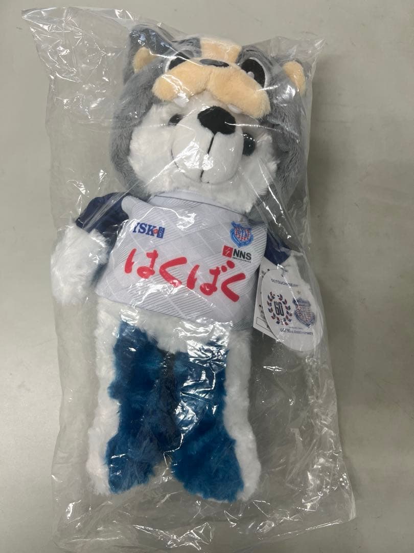 新品 60/30周年記念　ヴァンフォーレ甲府　ご当地ベア　ペアセット