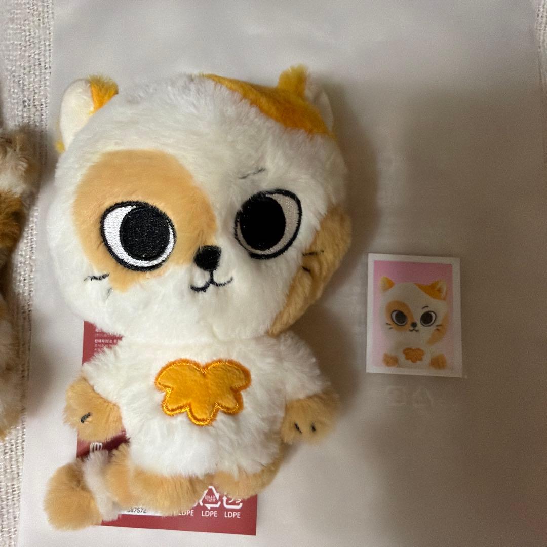 BOYNEXTDOOR プネクド キーリング ぬいぐるみ CATBBI