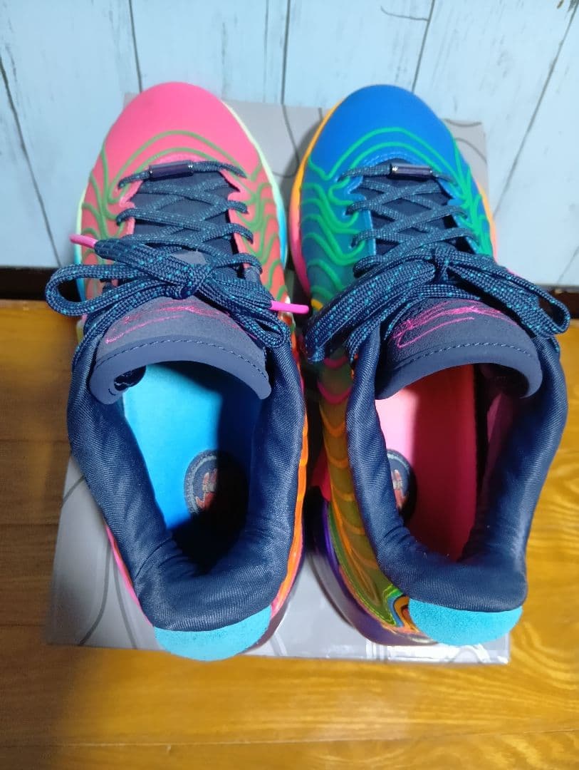 Nike Lebron 21 XXI EP マルチカラー