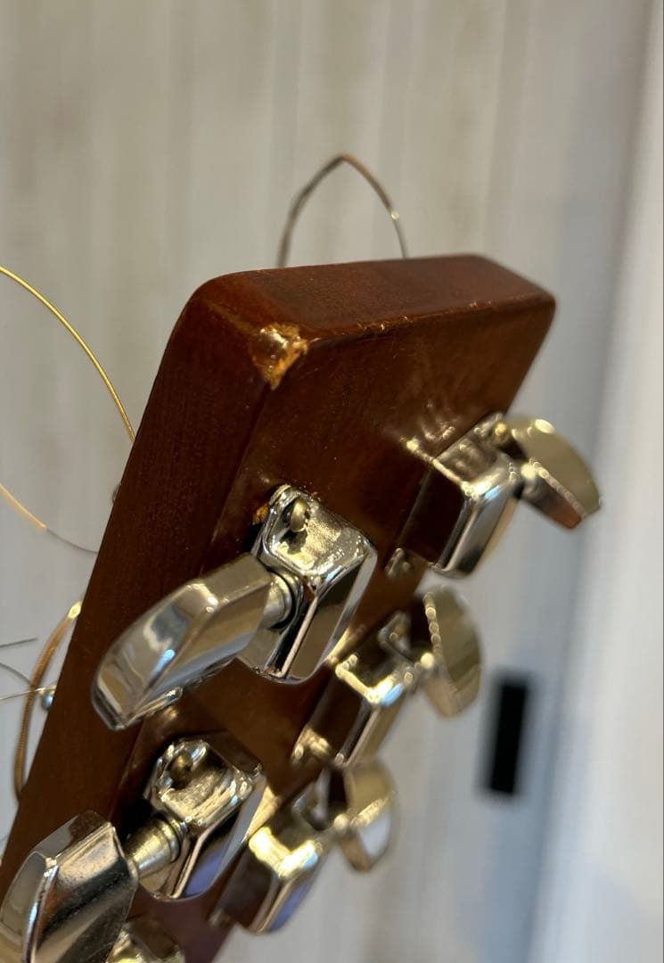 【MORRIS】 W-20