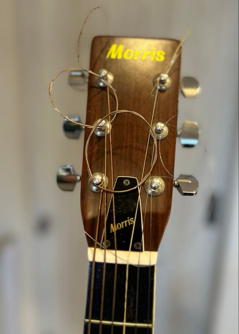 【MORRIS】 W-20