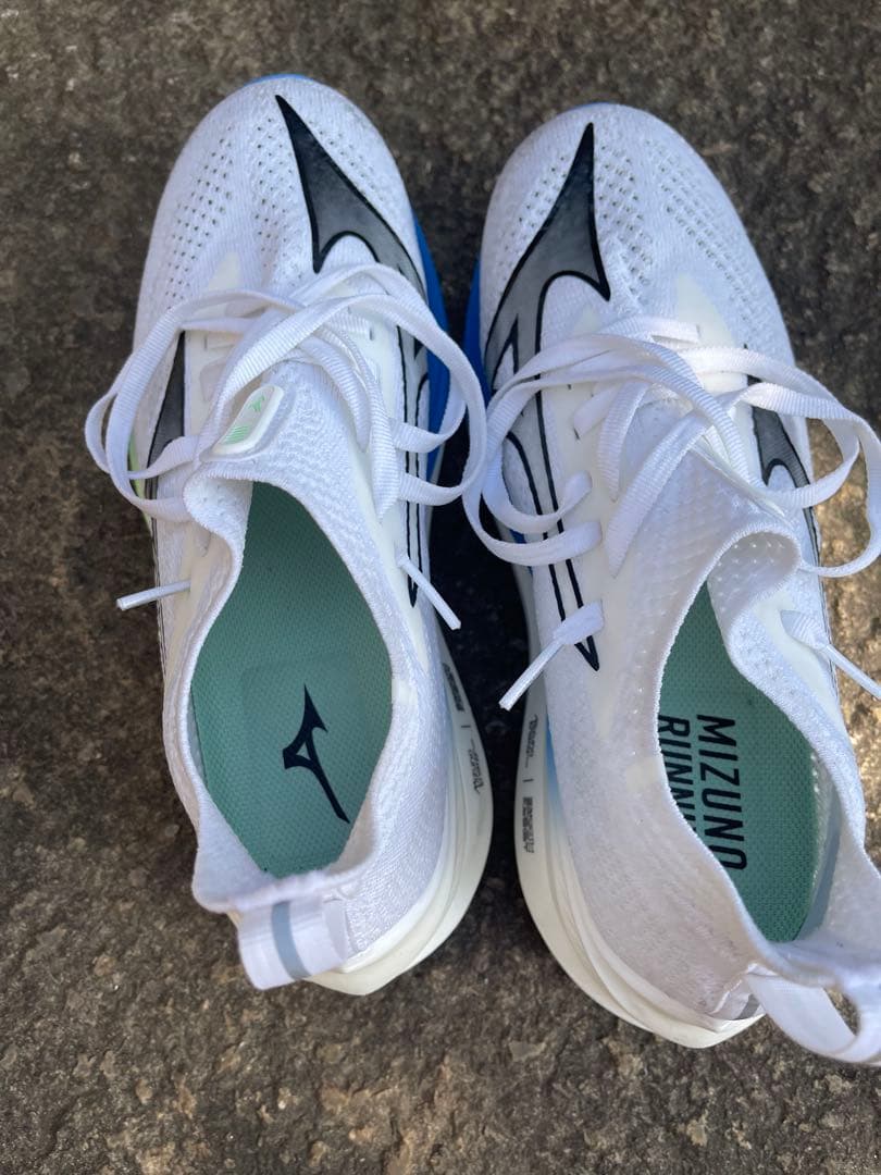 スパイク・シューズ Mizuno neo zen 25.0cm