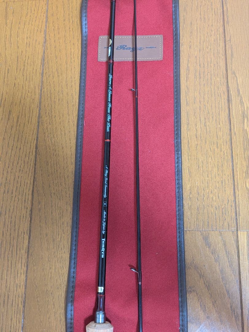 天龍　レイズオルタ　ミッジミノーインRZA602S-MLMT