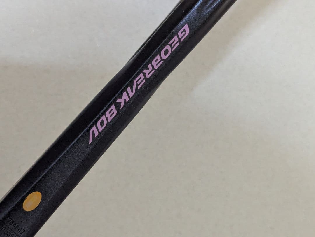 うなぎいぬ様YONEX　ジオブレイク80V ゴールドパープル