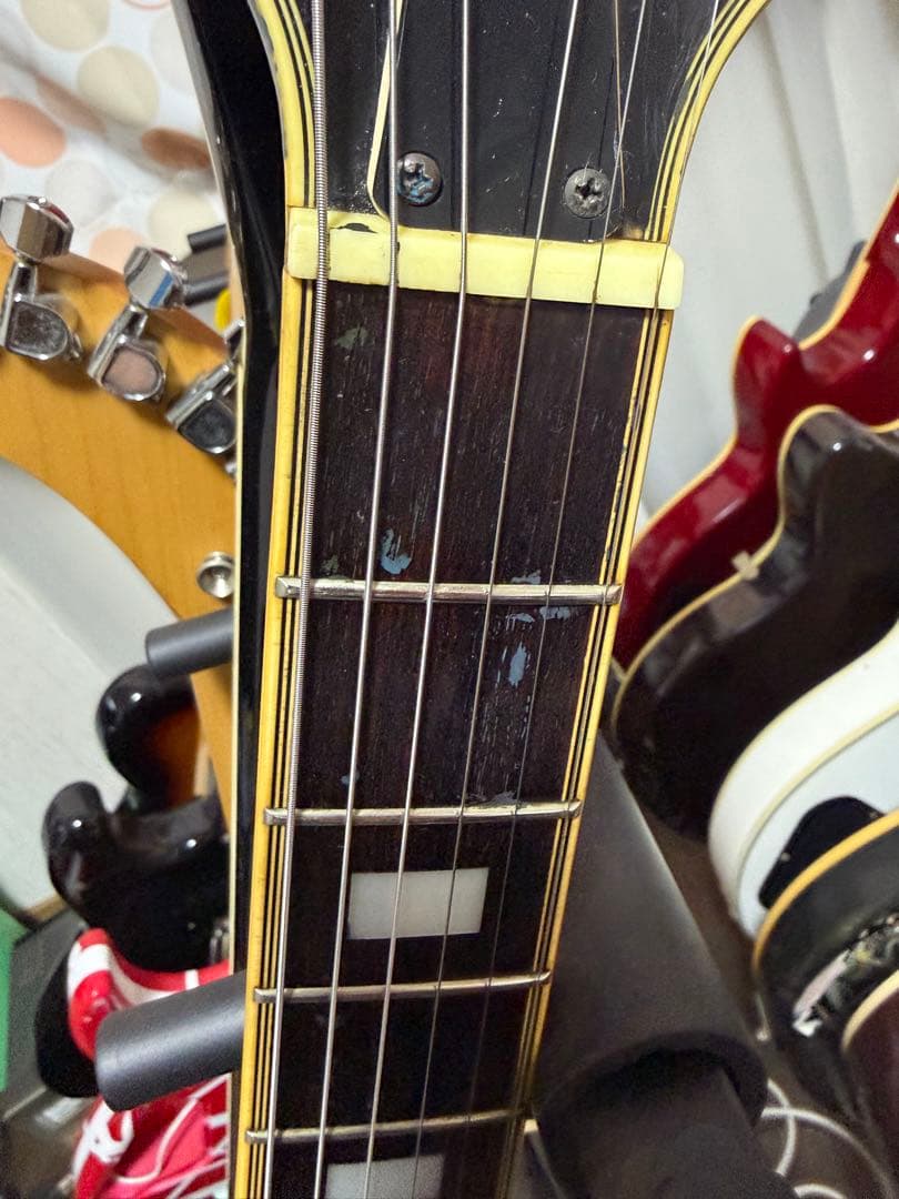 セミアコ　アリアプロ2 ARIA ta62c