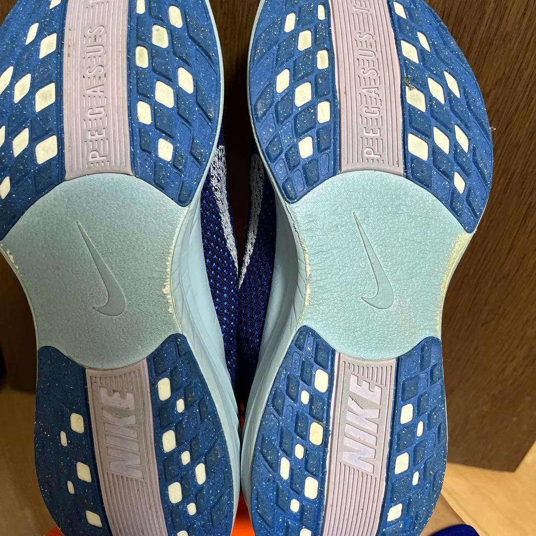 ペガサスプラス　27.5センチ