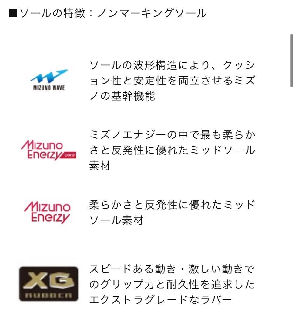 【新品未使用】Mizuno Wave Momentum Elite Wide