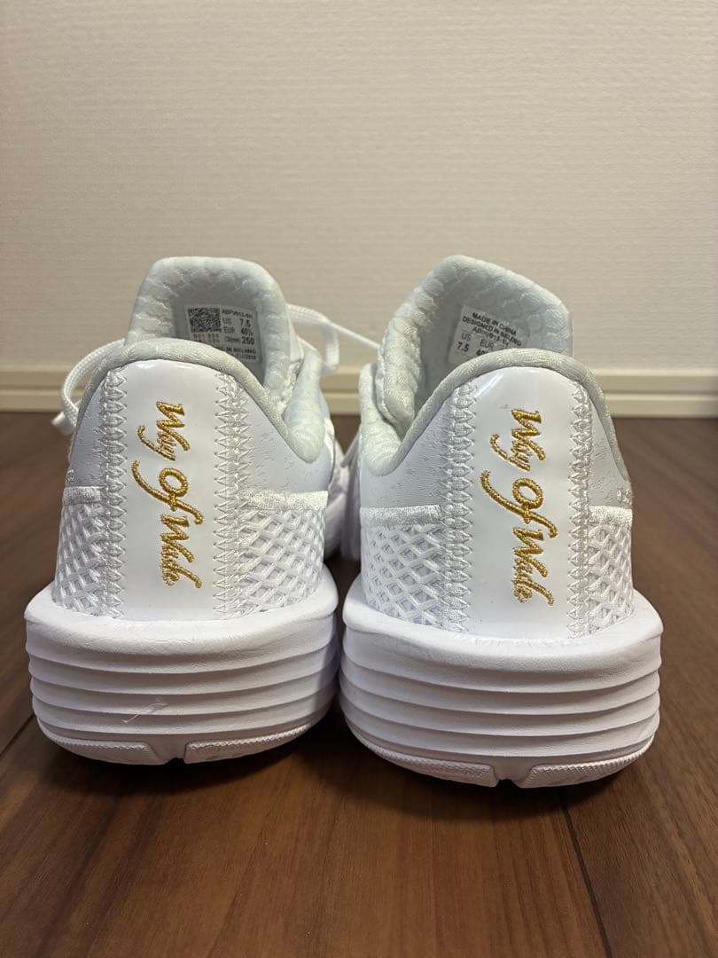 Wade Flash 2「白熱」 バッシュ バスケ