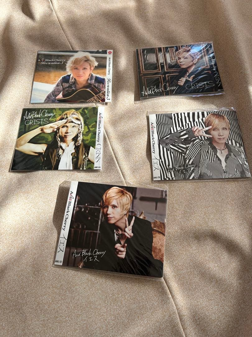Acid Black Cherry グッズ100点以上まとめ売り