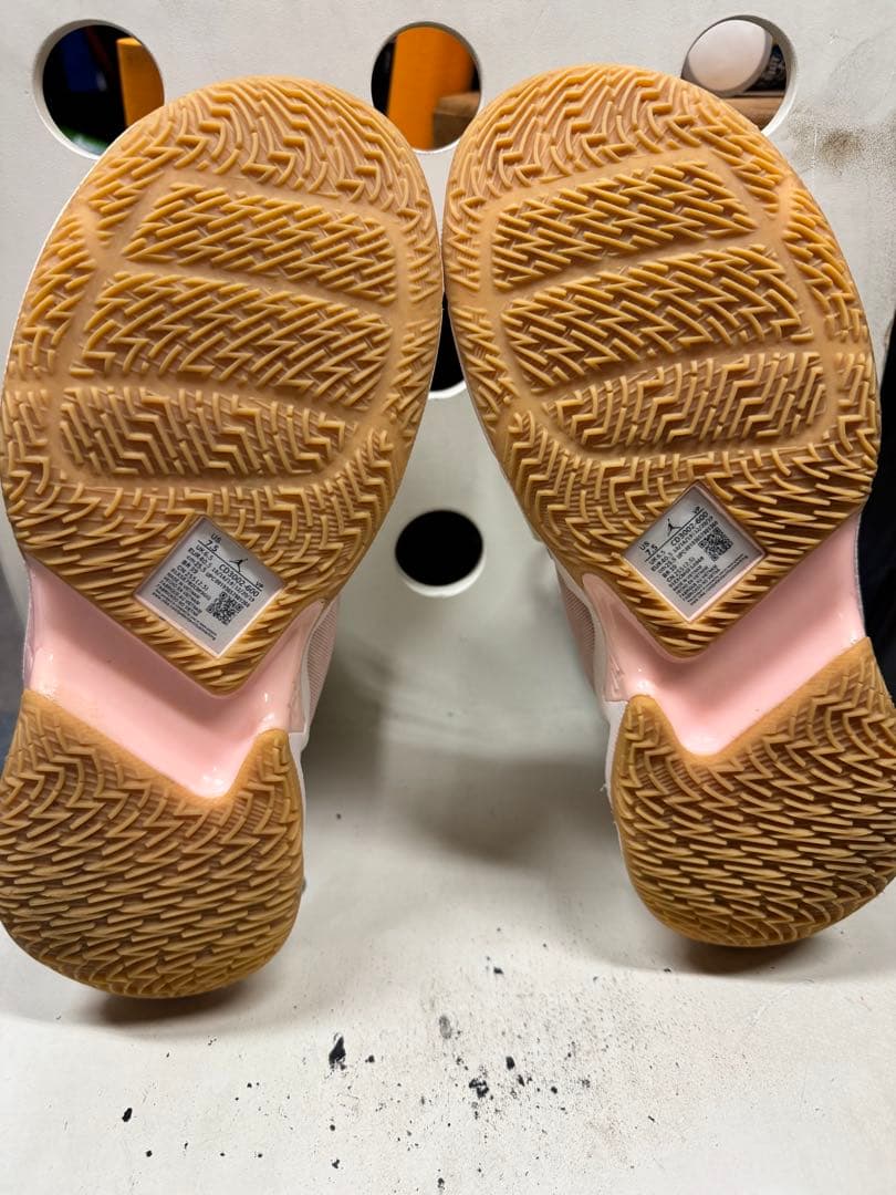 NIKE JORDAN WHY NOT ZERO ナイキ ジョーダンus7.5