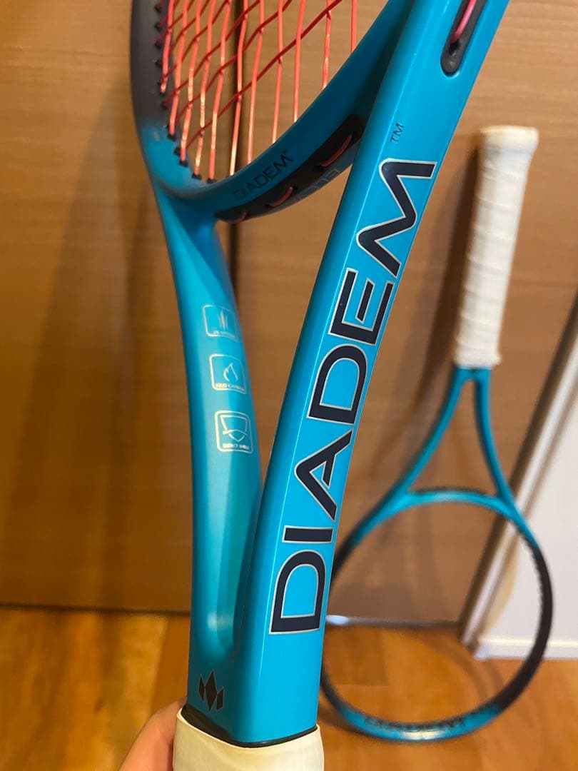 希少！ダイアデム エレベート G2 2本＋ケース付