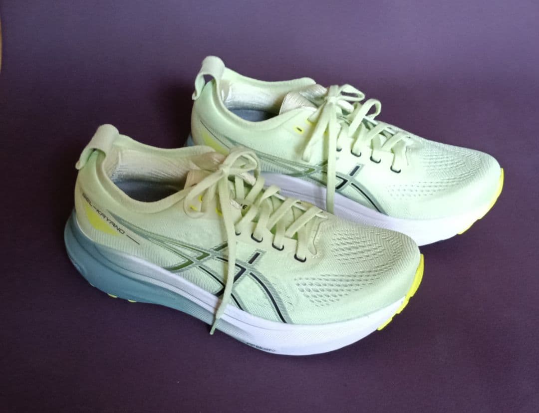 アシックス asics ゲルカヤノ 31 GEL-KAYANO 31 25cm