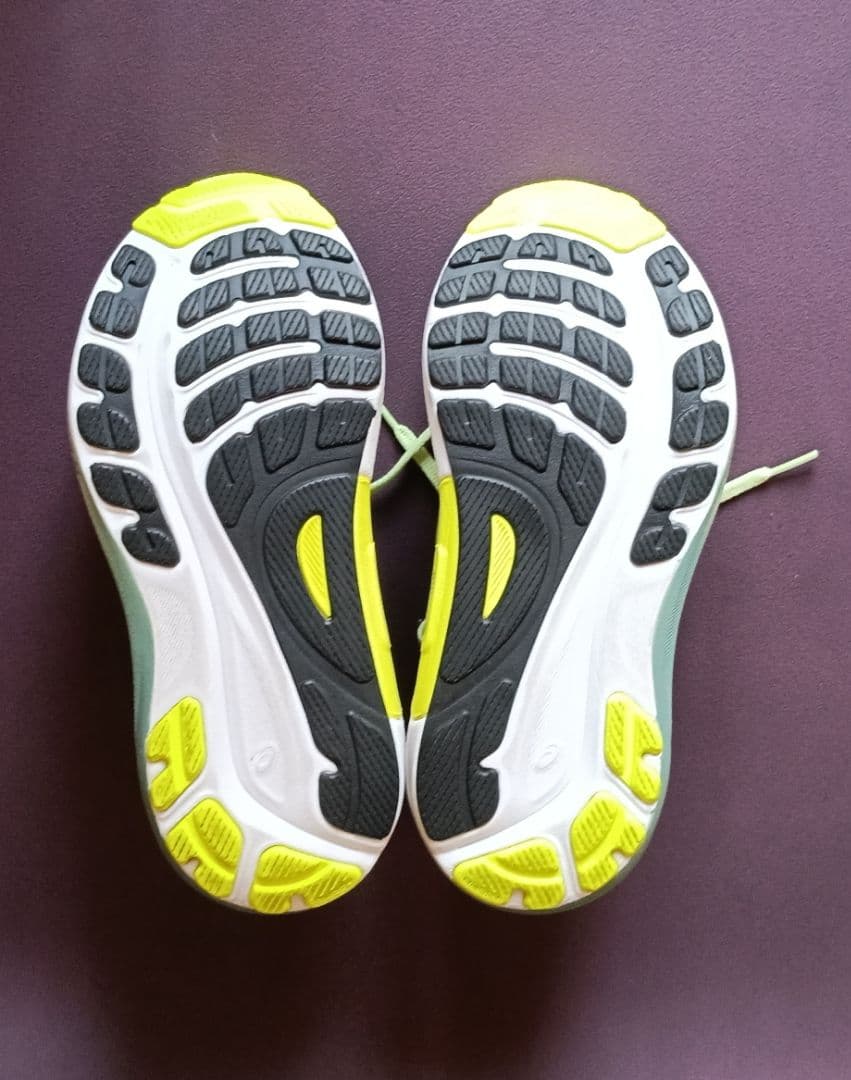 アシックス asics ゲルカヤノ 31 GEL-KAYANO 31 25cm