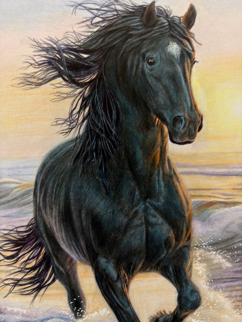色鉛筆画 A4 波を越える黒馬