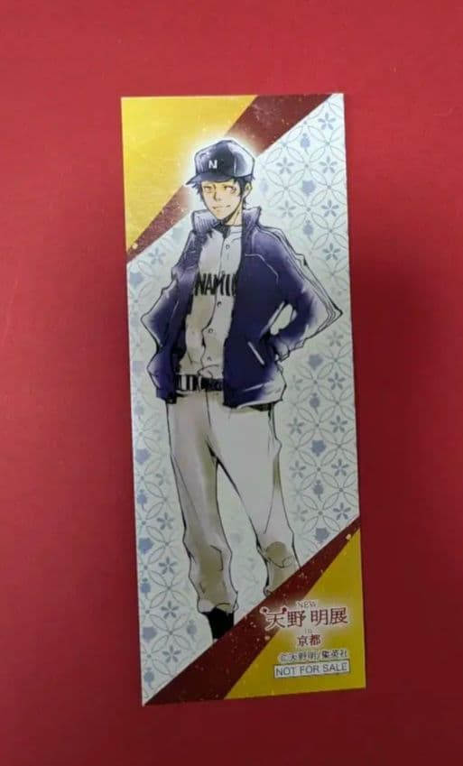 家庭教師ヒットマンREBORN ツナ 沢田綱吉 山本武 天野明展 京都