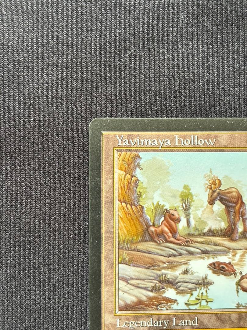 MTG ヤヴィマヤのうろ穴 Yavimaya, Cradle of Growth