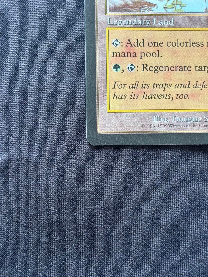 MTG ヤヴィマヤのうろ穴 Yavimaya, Cradle of Growth