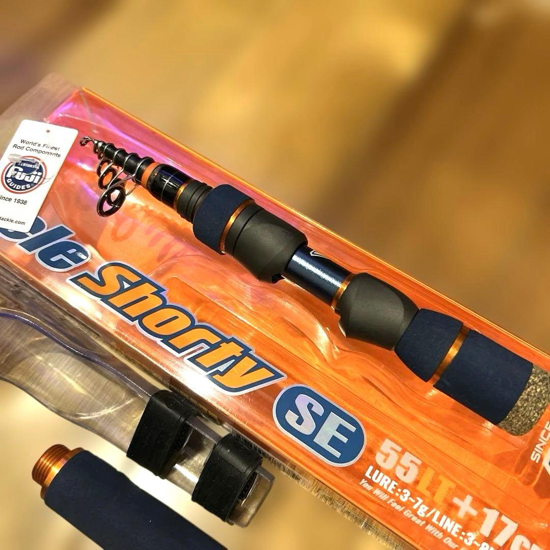 ビセオ ( VICEO ) テレショーティーSE 55LT