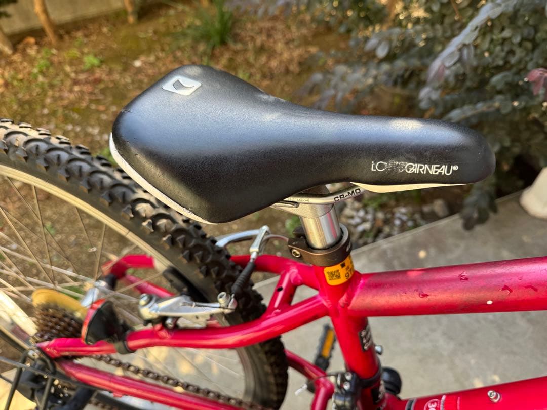 ルイガノ LGS-J24 24インチ 2018 LOUIS GARNEAU