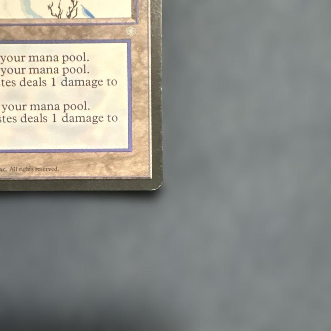 MTG アダーカー荒原 英語版２枚セット